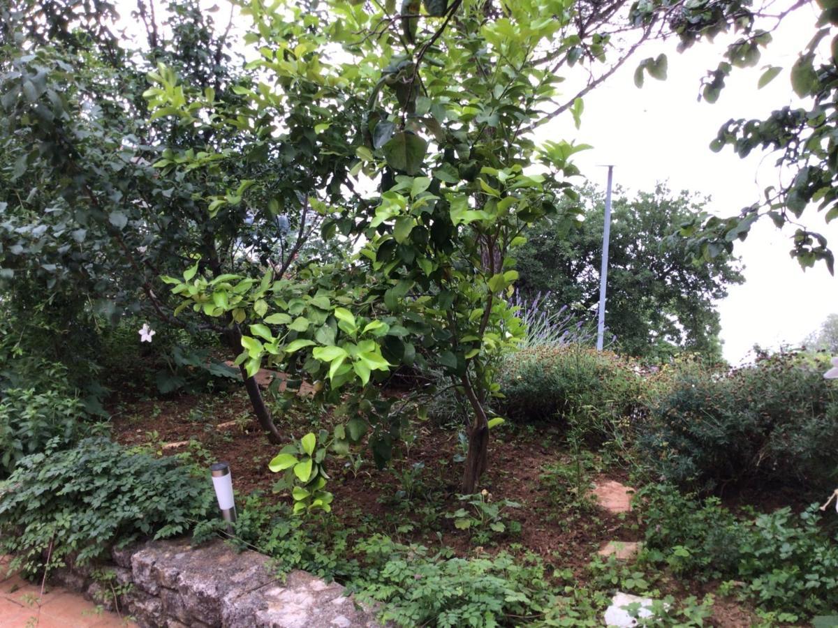 House Vali Bed and Breakfast Lovran Εξωτερικό φωτογραφία